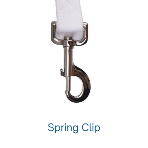 Spring Clip